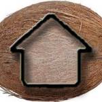 Coconut Contracting Profile Picture