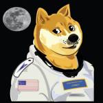 Doge Space Fleet Profile Picture