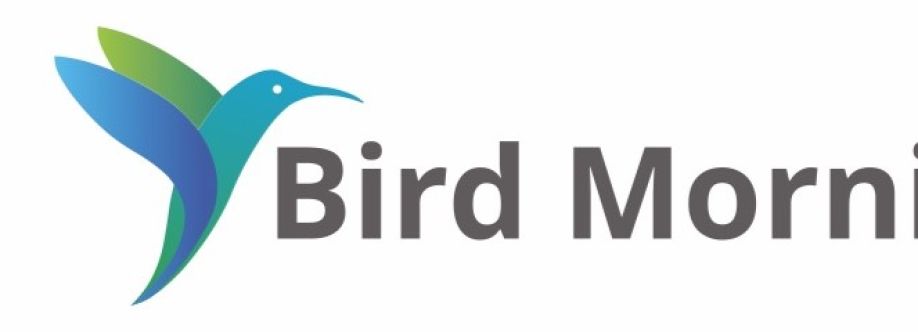 Birdmorning Solutions Cover Image