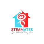Steamates Profile Picture