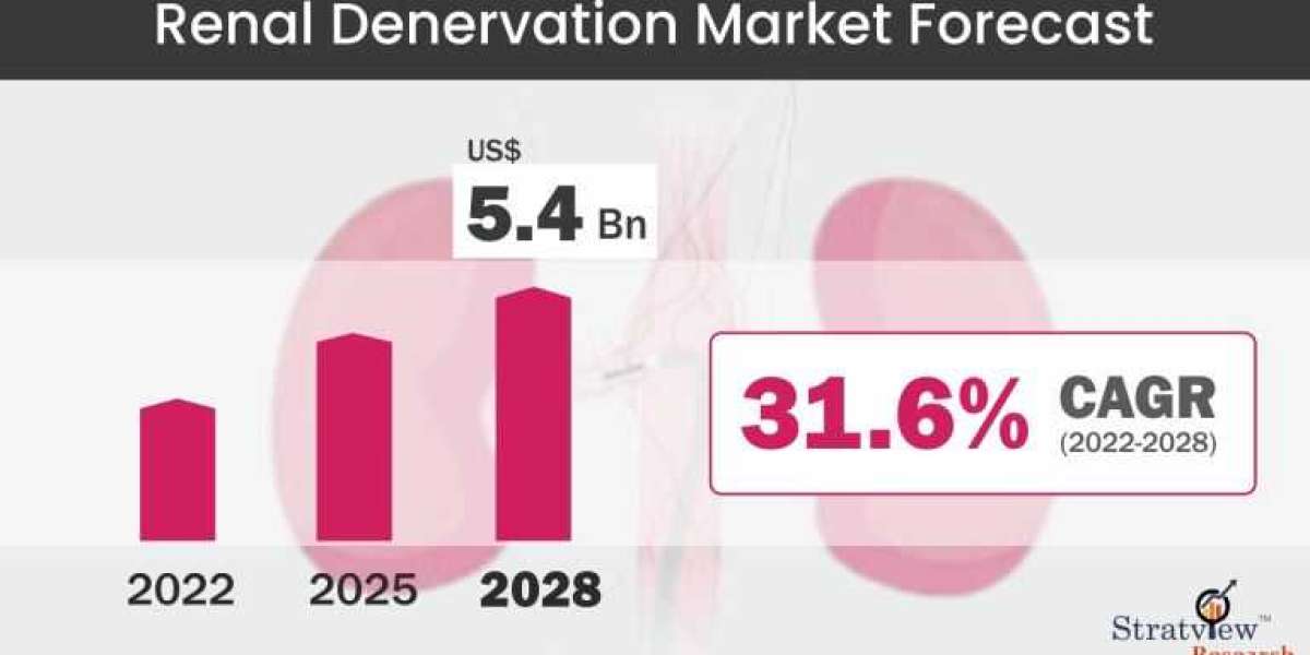 Renal Denervation Market Intelligence Report Offers Insights on Growth Prospects 2022–2028