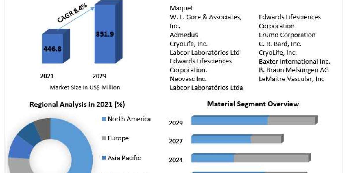 Vascular Patches Devices Market	Top Countries Data, Industry Insights by Top Key Players, Types and Applications 2029