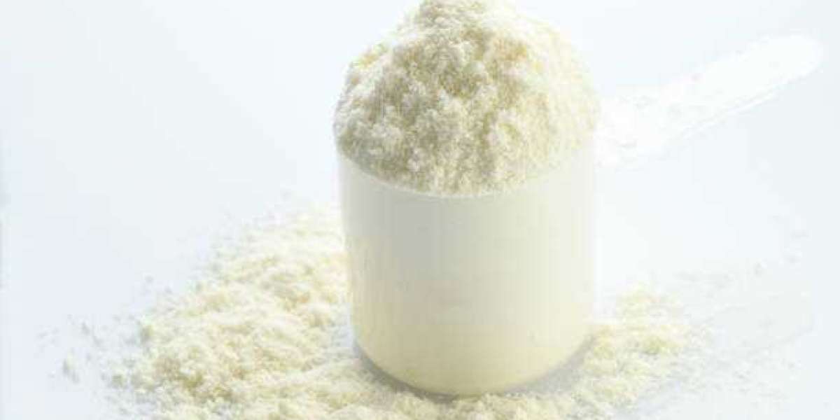 German Skim Milk Powder Market To Witness Increase In Revenues By 2030