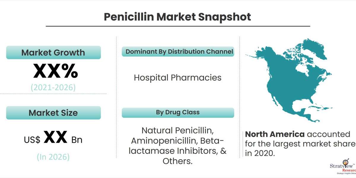 Penicillin Market Forecast: Emerging Patterns and Perspectives