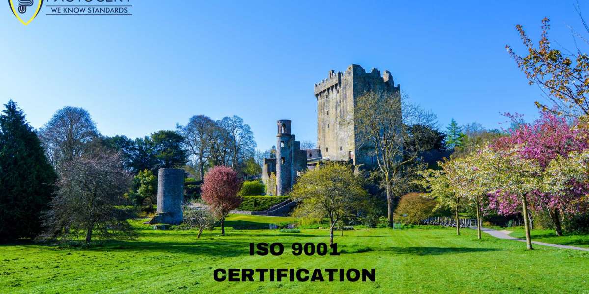 What are the costs associated with obtaining and maintaining ISO 9001 certification in Ireland?