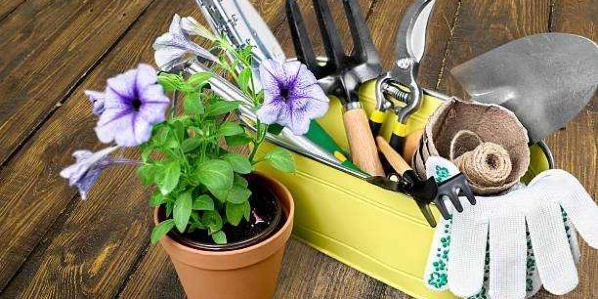 Pruners and Shears: Precision Cutting for Healthier Plants