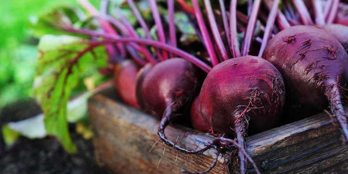 Beetroot: The Nutrient Powerhouse of Nature.