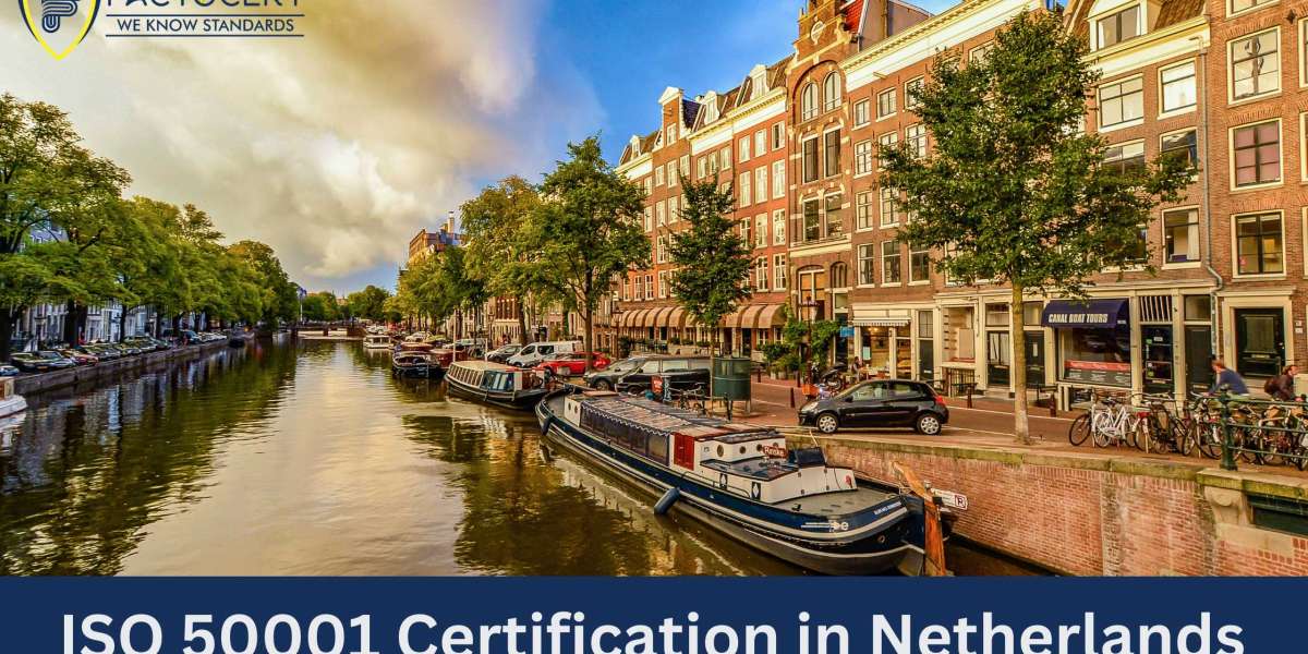 What role do external consultants or experts play in assisting Dutch companies with ISO 50001 implementation?