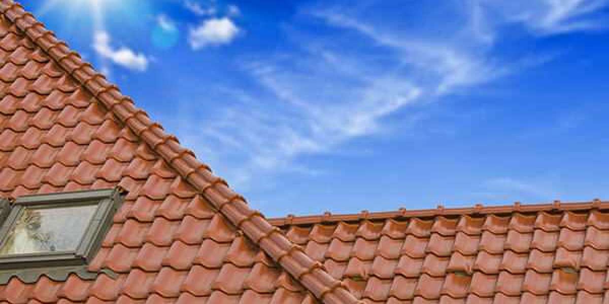 Why Professional Roof Restoration Is Essential for Metal Roofs?